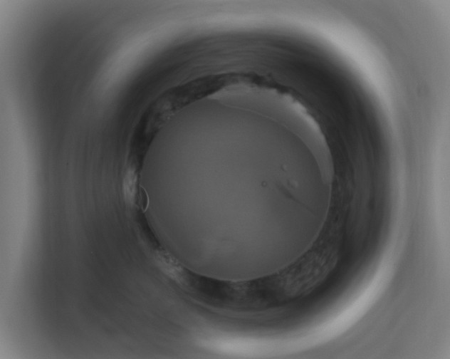 X0000110990767200906261449