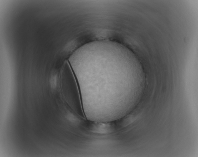 X0000110990768200906261449