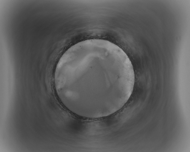 X0000110990769200906261449