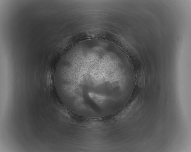X0000110990770200906261449
