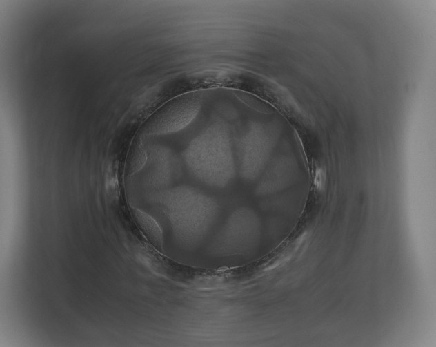 X0000110990771200906261449