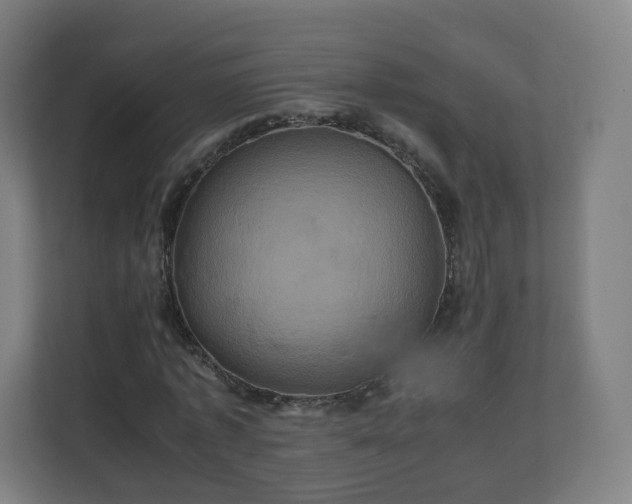 X0000110990773200906261449