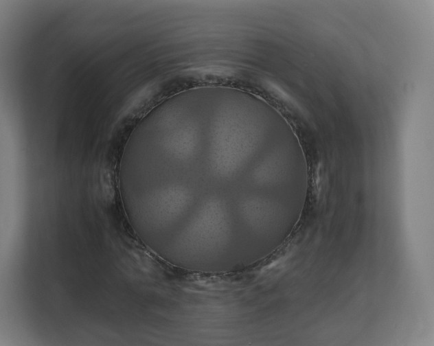X0000110990774200906261449