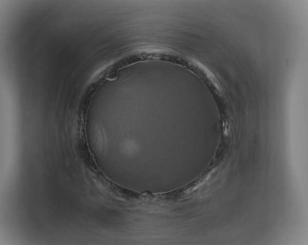 X0000110990775200906261449