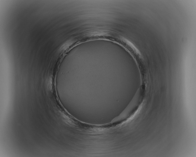 X0000110990777200906261449