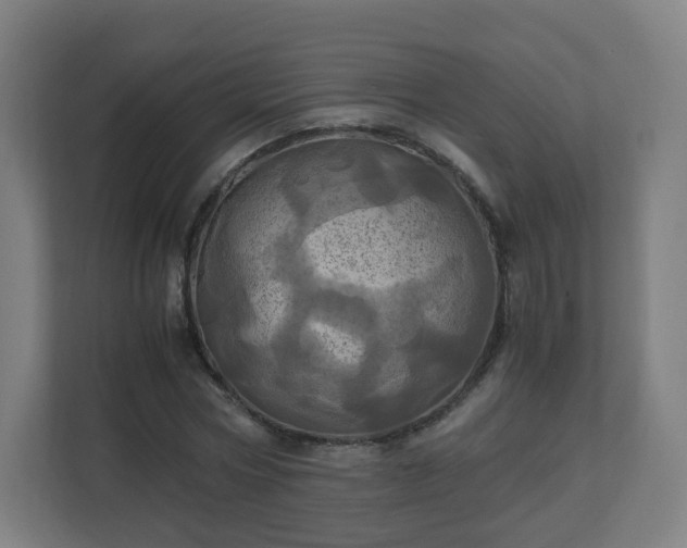 X0000110990778200906261449