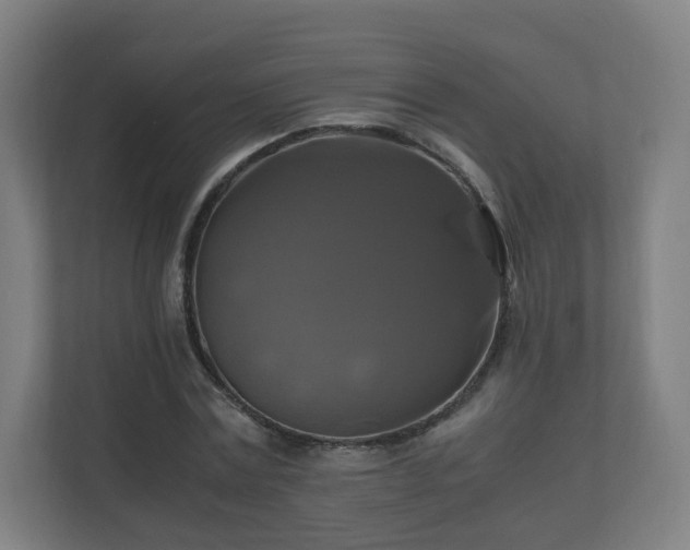 X0000110990779200906261449