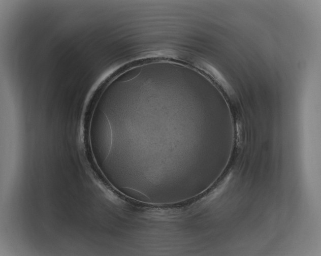 X0000110990780200906261449