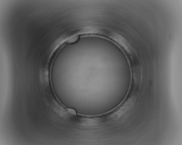 X0000110990781200906261449
