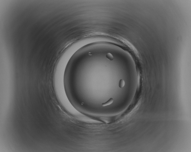 X0000110990785200906261449
