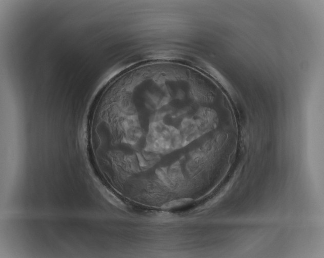 X0000110990787200906261448