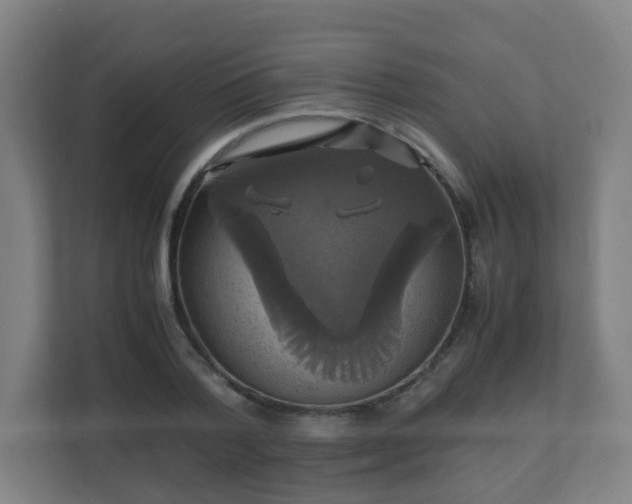 X0000110990788200906261448