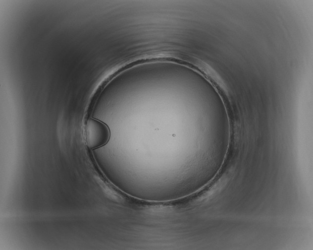 X0000110990789200906261448
