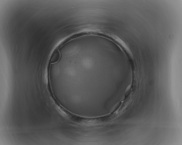 X0000110990791200906261448