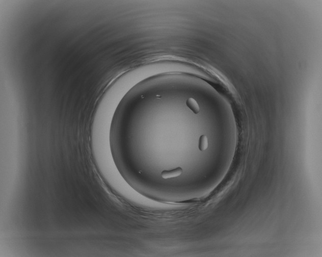 X0000110990793200906261448
