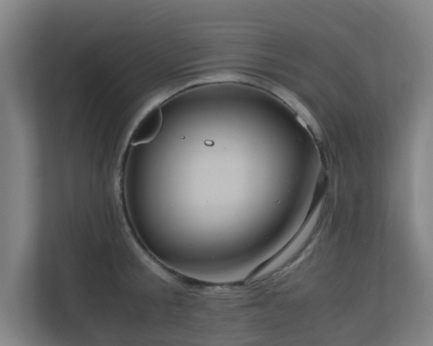 X0000110990805200906261448
