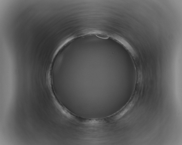 X0000110990806200906261448