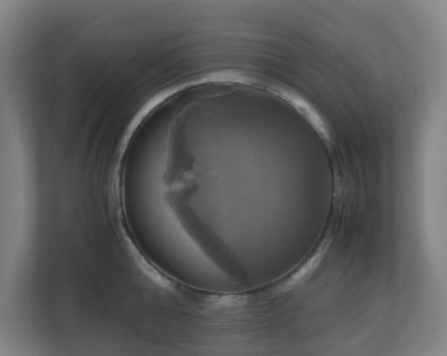 X0000110990808200906261448