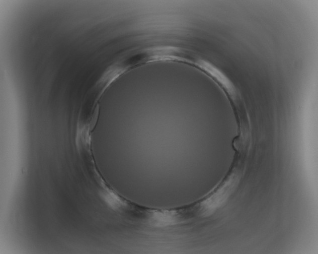 X0000110990809200906261448