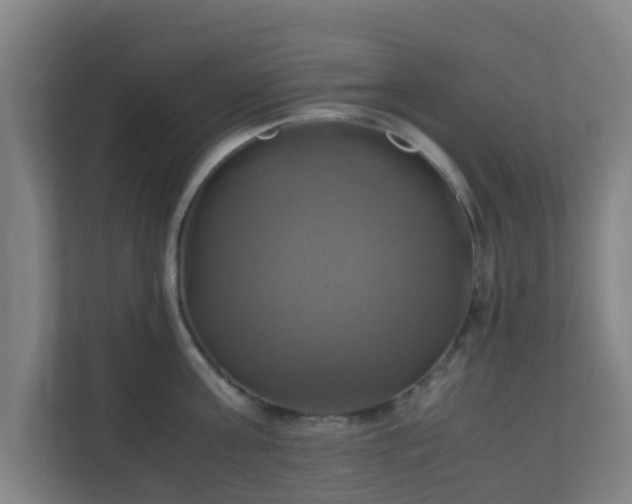 X0000110990811200906261448