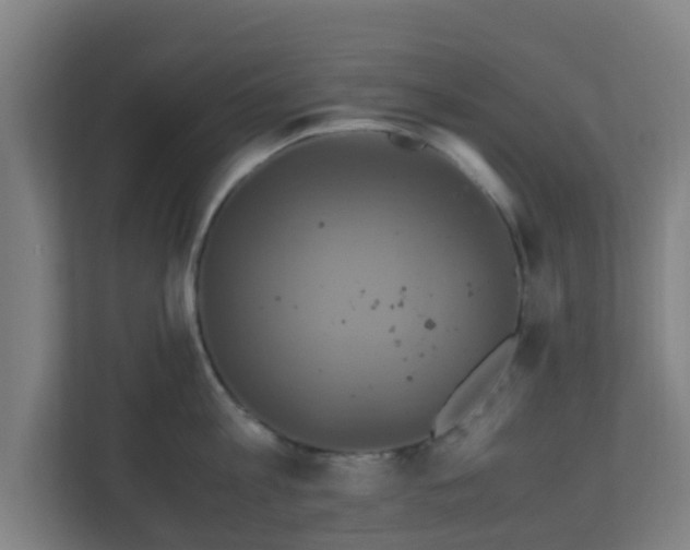 X0000110990813200906261448