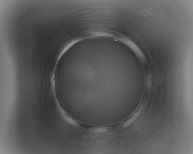 X0000110990814200906261448