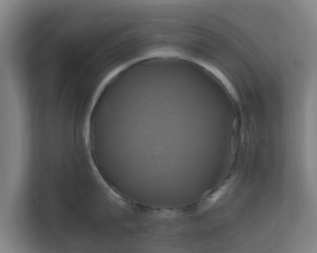 X0000110990815200906261448