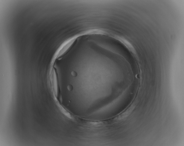 X0000110990816200906261448