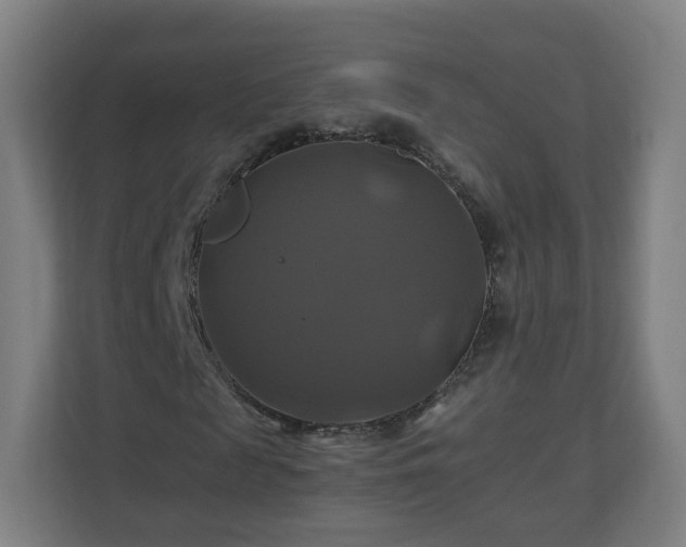 X0000110990817200906261447