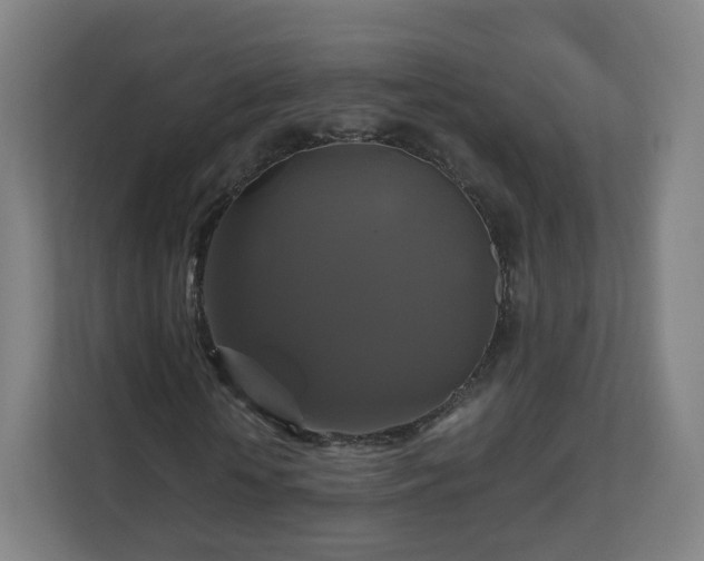X0000110990818200906261448