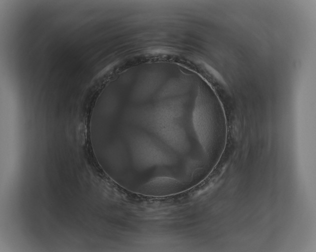 X0000110990821200906261448