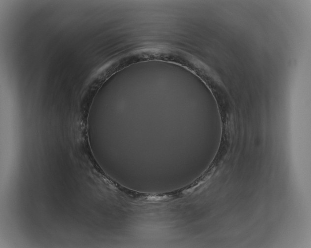 X0000110990822200906261448