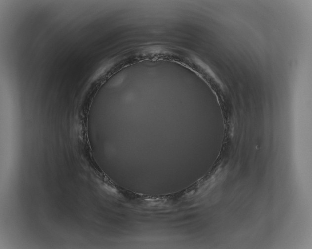 X0000110990823200906261448