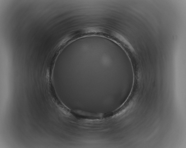 X0000110990825200906261448