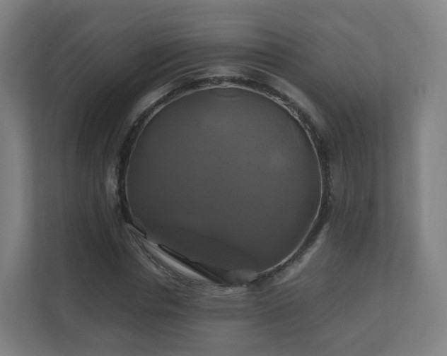 X0000110990826200906261448