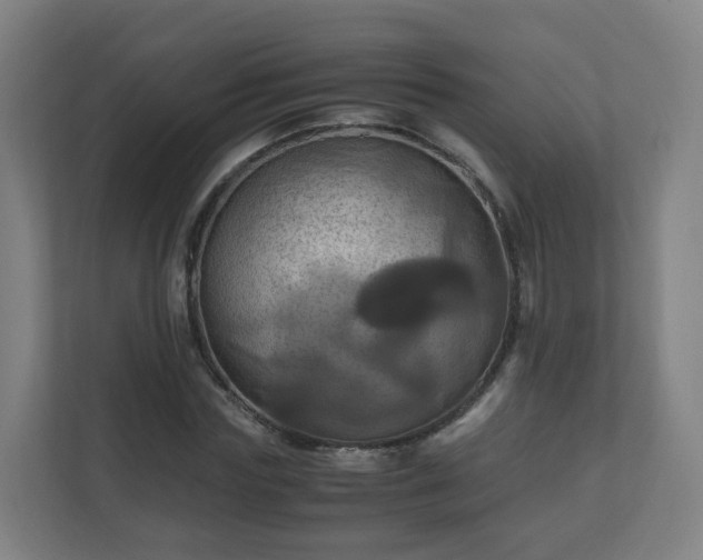 X0000110990827200906261448