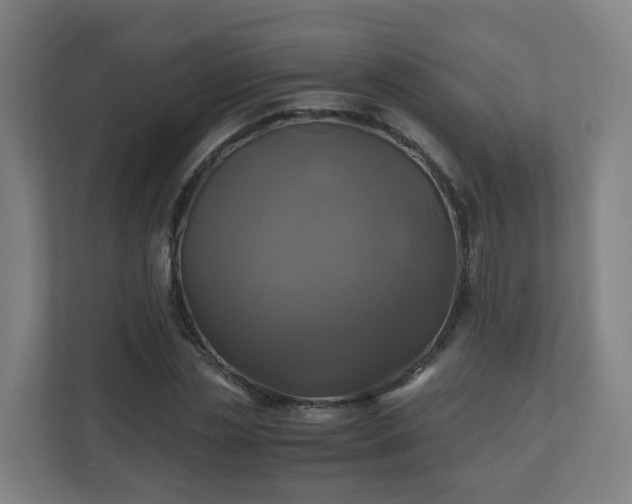 X0000110990829200906261448