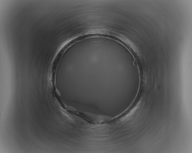 X0000110990830200906261448