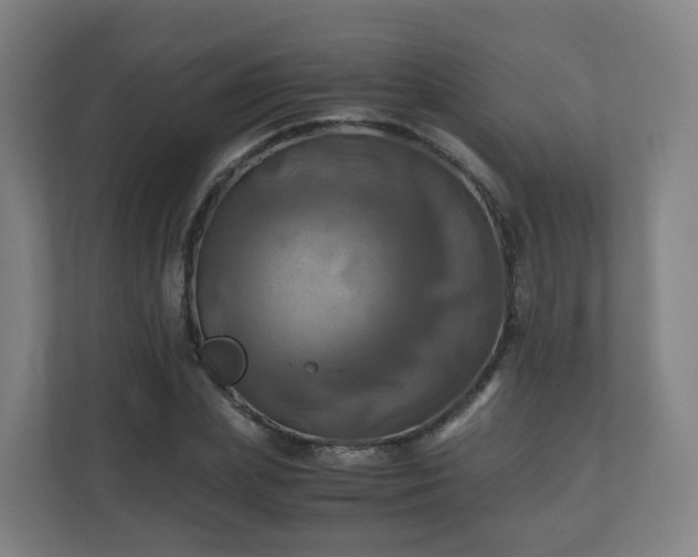 X0000110990831200906261448