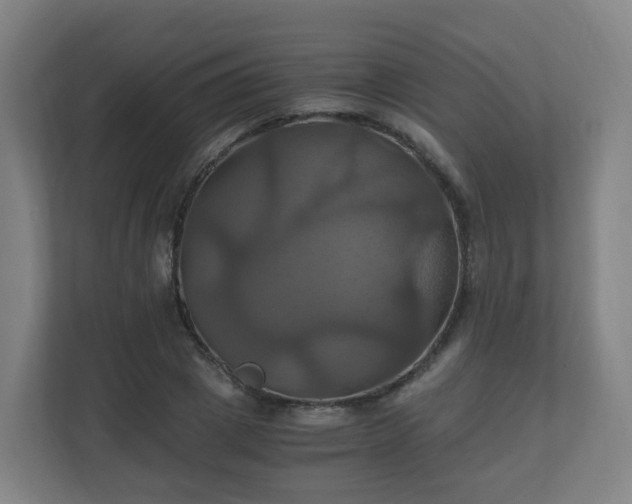 X0000110990833200906261448
