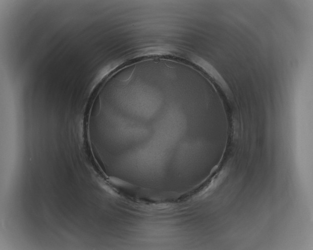 X0000110990834200906261448
