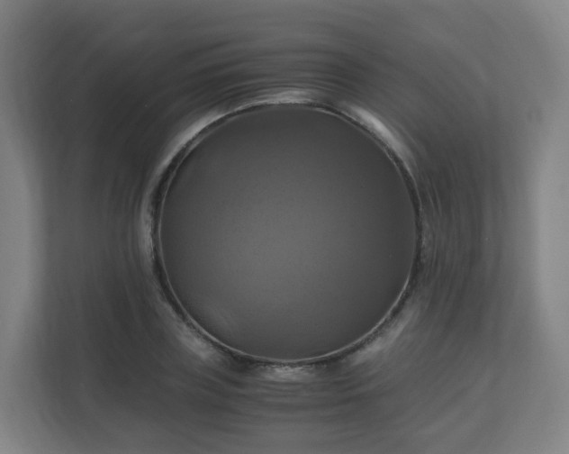 X0000110990835200906261448