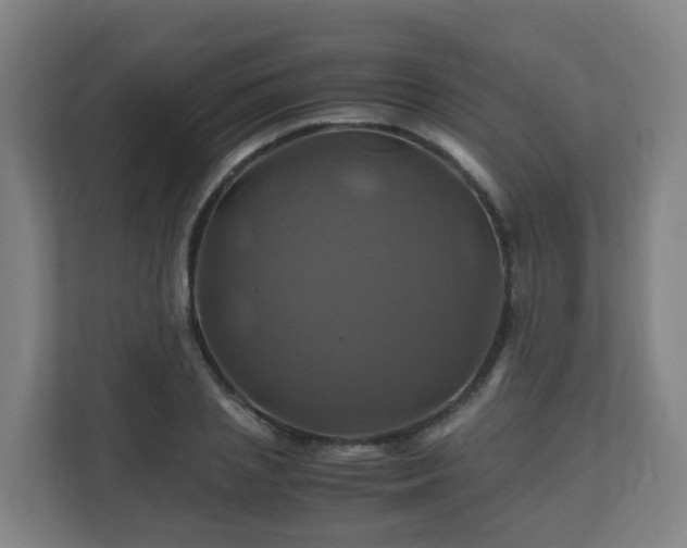 X0000110990837200906261448