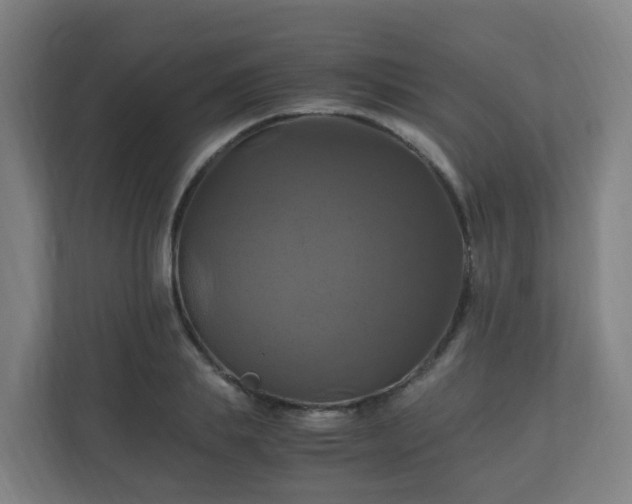 X0000110990839200906261448