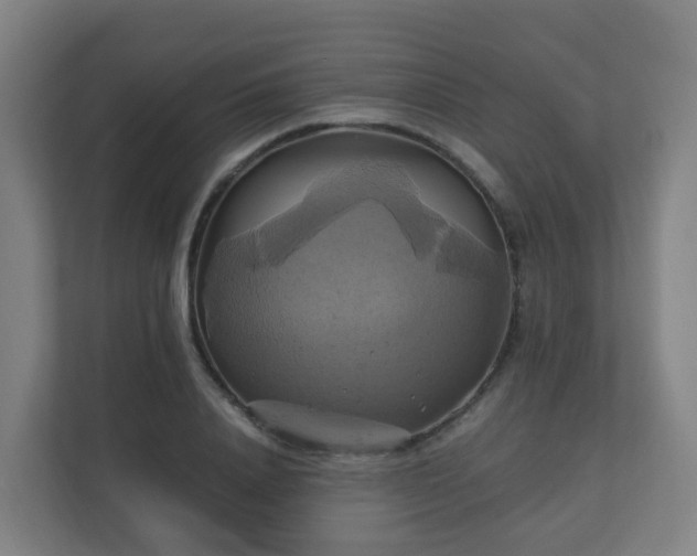 X0000110990840200906261448