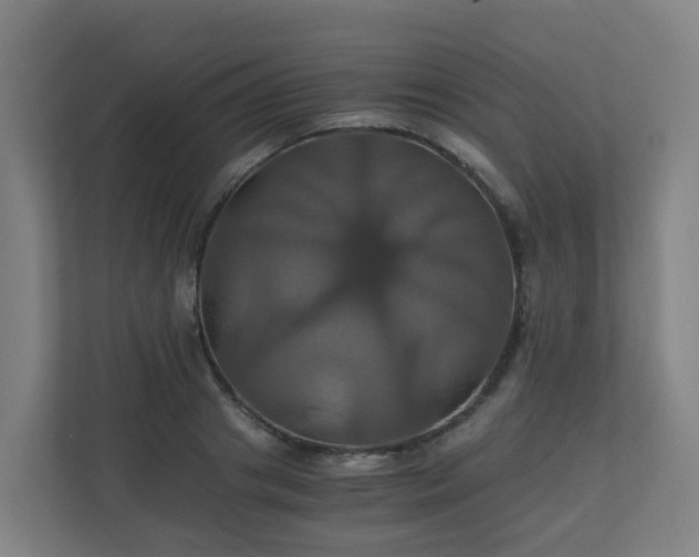 X0000110990841200906261448