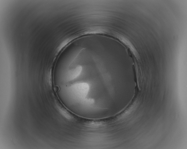 X0000110990842200906261448