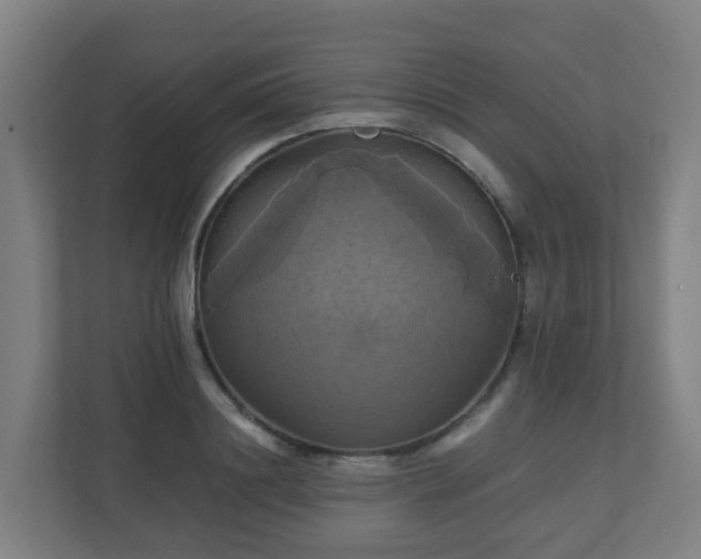 X0000110990844200906261448
