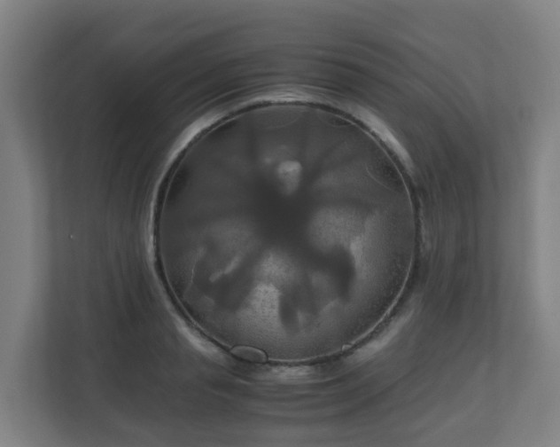 X0000110990845200906261448