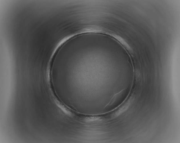 X0000110990846200906261448